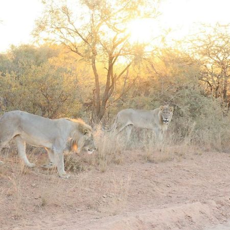 Klipdrift Kwalata Game Lodge المظهر الخارجي الصورة