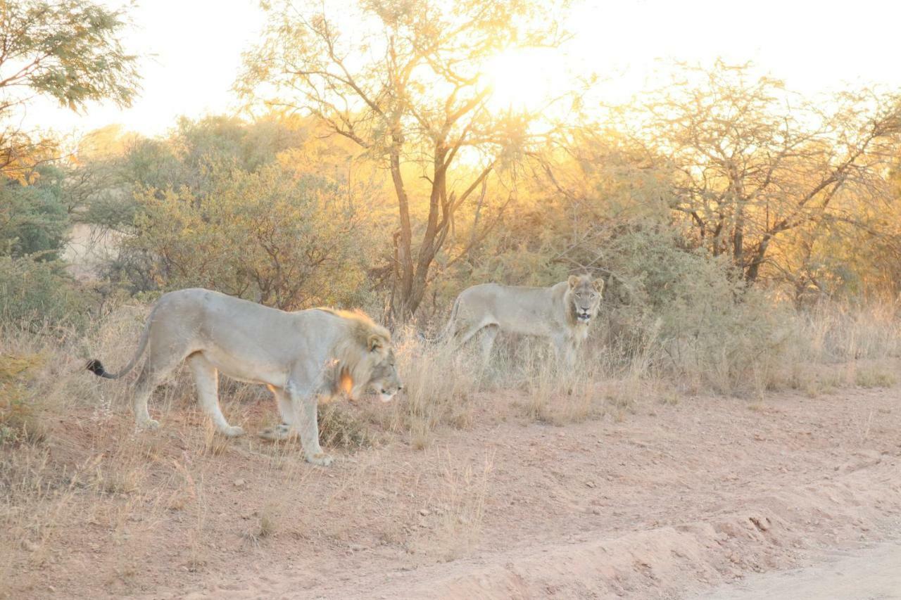 Klipdrift Kwalata Game Lodge المظهر الخارجي الصورة