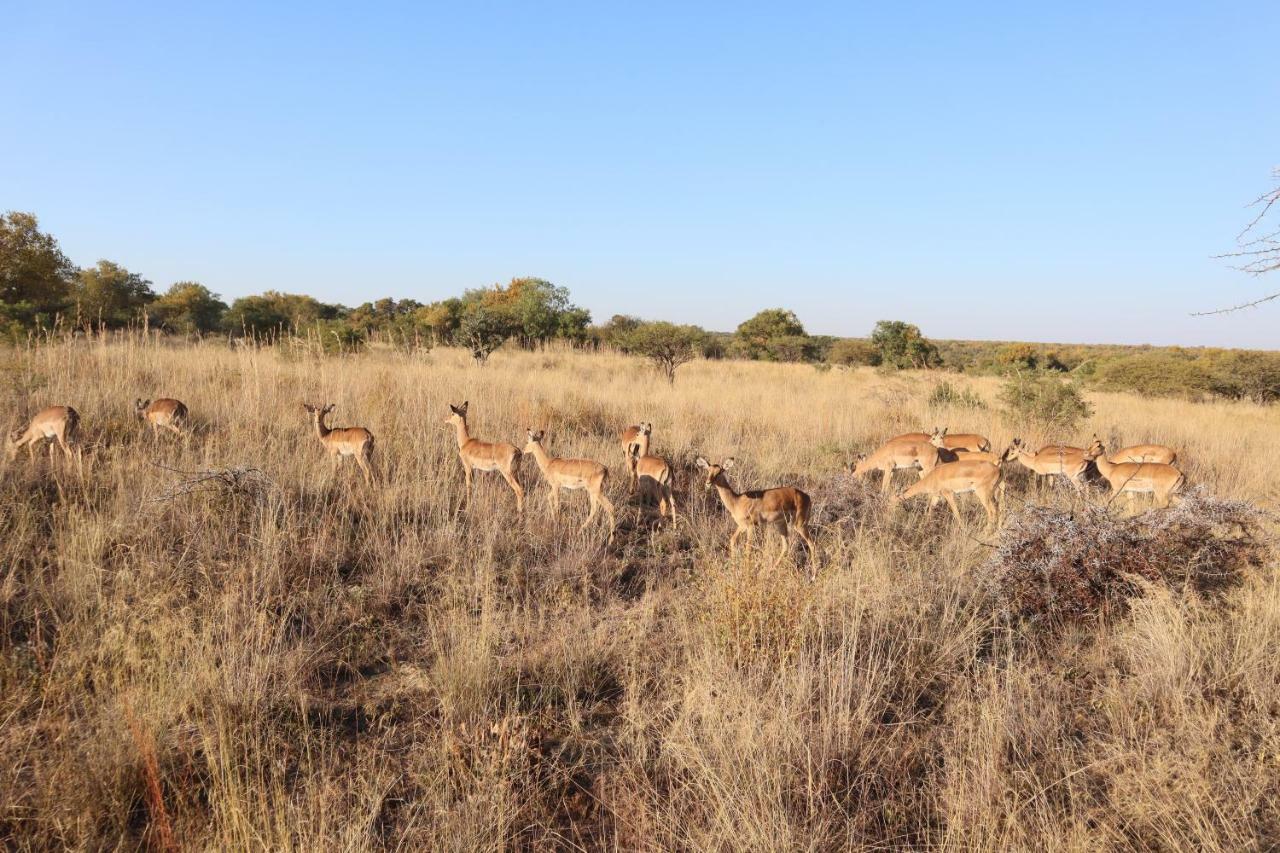 Klipdrift Kwalata Game Lodge المظهر الخارجي الصورة
